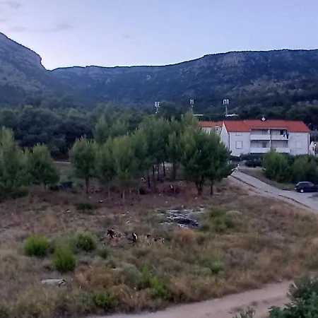 Dovi * Bol